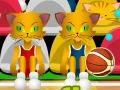  Basketbolcu Kedicikler Oyunu