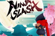  Ninja Slash 3D